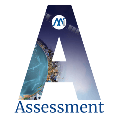 Assessment