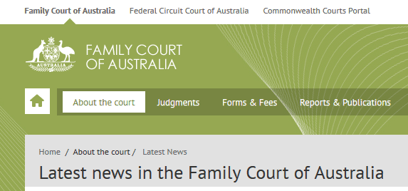 Family Court Website Snip