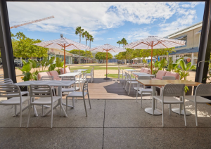 Home | Mediation Institute Sanctury Cove Tavern